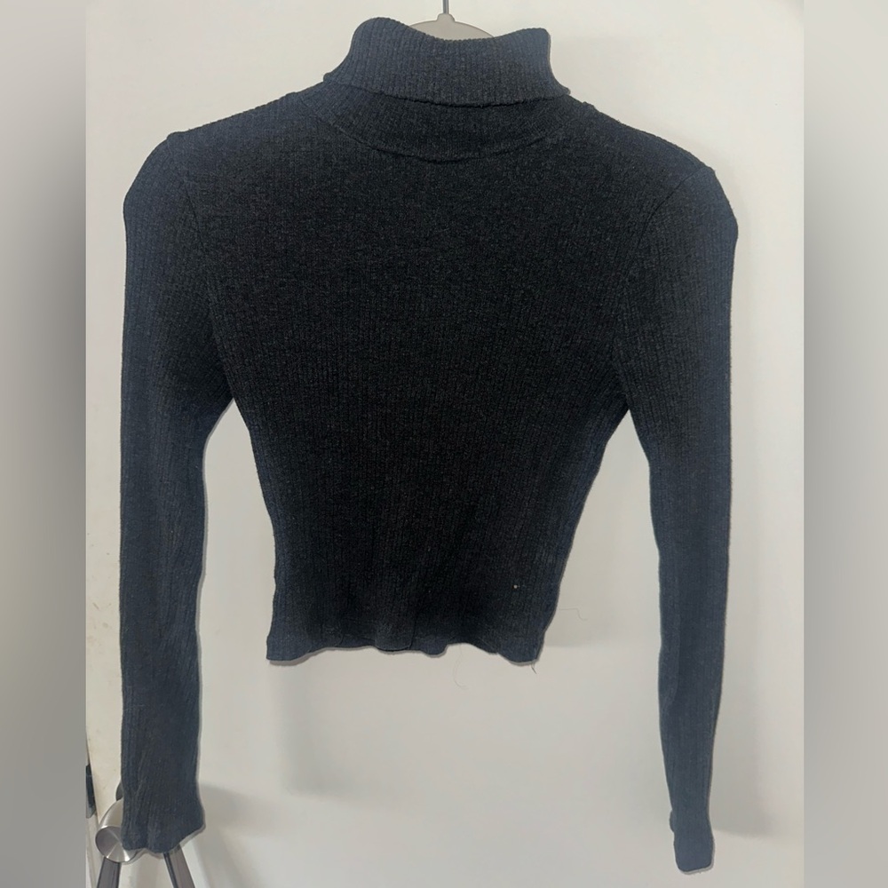 AMBIANCE CROP TOP TURTLE NECK
